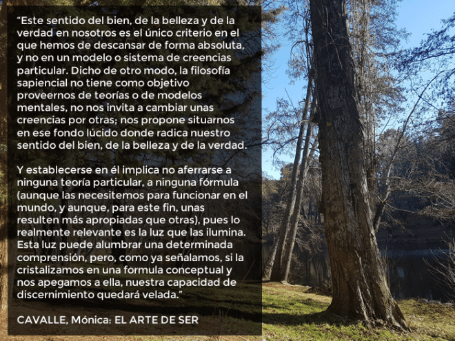 Cita Mónica Cavallé