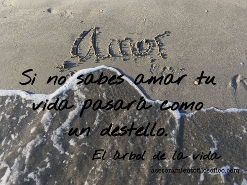 Si no sabes amar tu vida pasará como un destello